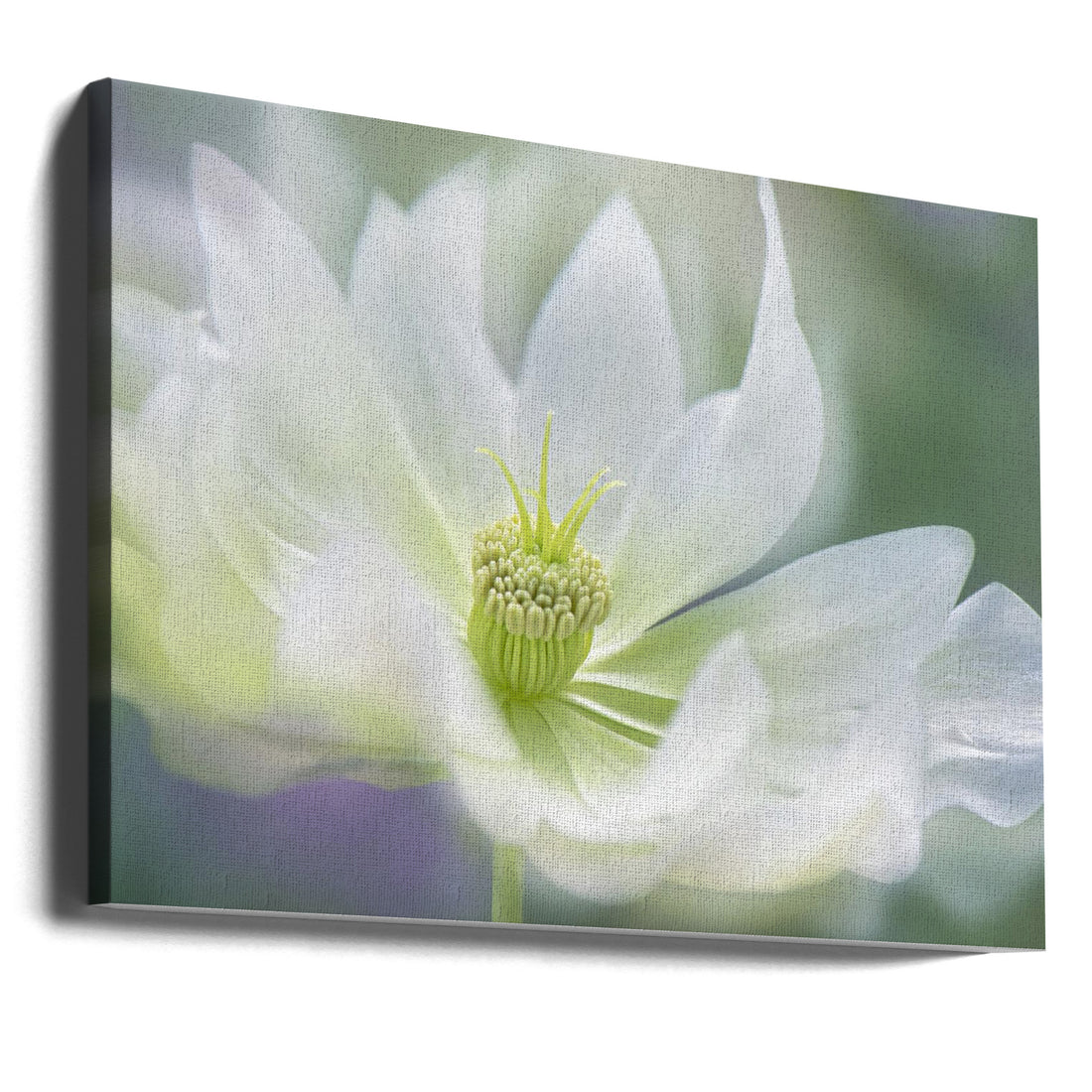 Serene Blooms by Jacky Parker | Fresh Floral Botanical, Large Canvas Wall Art Print | Artsy Earth