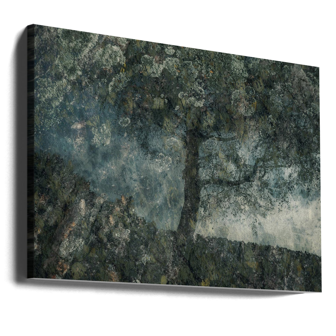 Rocks and a tree by Nel Talen | Lonely Tree Landscape, Large Canvas Wall Art Print | Artsy Earth