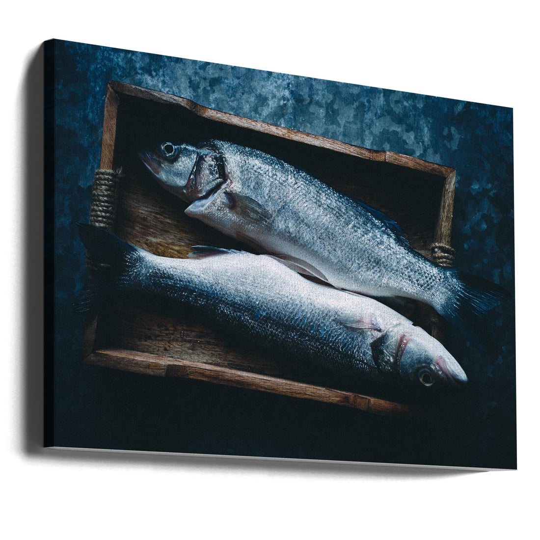 Two Fresh Fish by Aleksandrova Karina | Fresh Seafood Kitchen, Large Canvas Wall Art Print | Artsy Earth