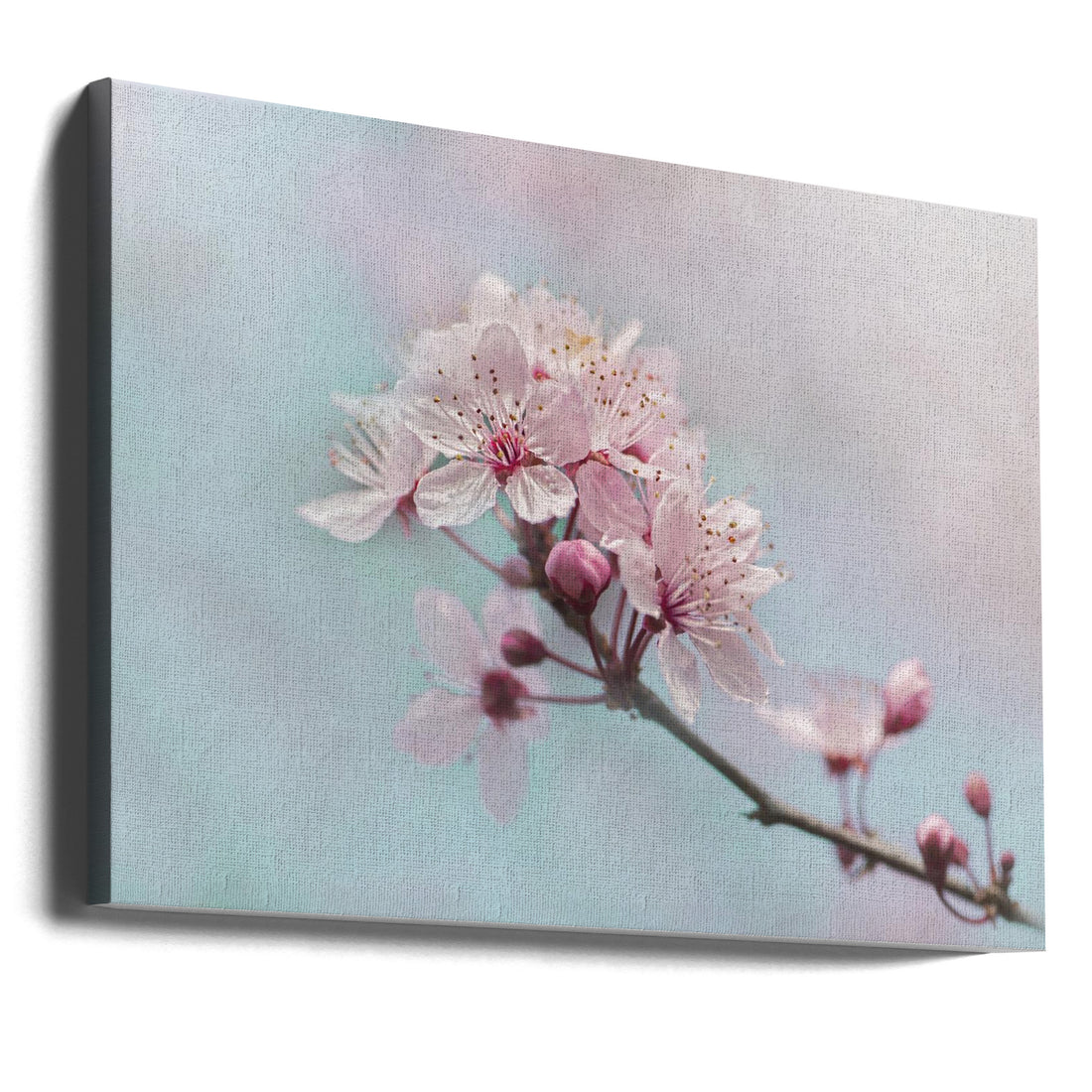 Fresh Spring Beauty by Jacky Parker | Cherry Blossom Portrait, Large Canvas Wall Art Print | Artsy Earth