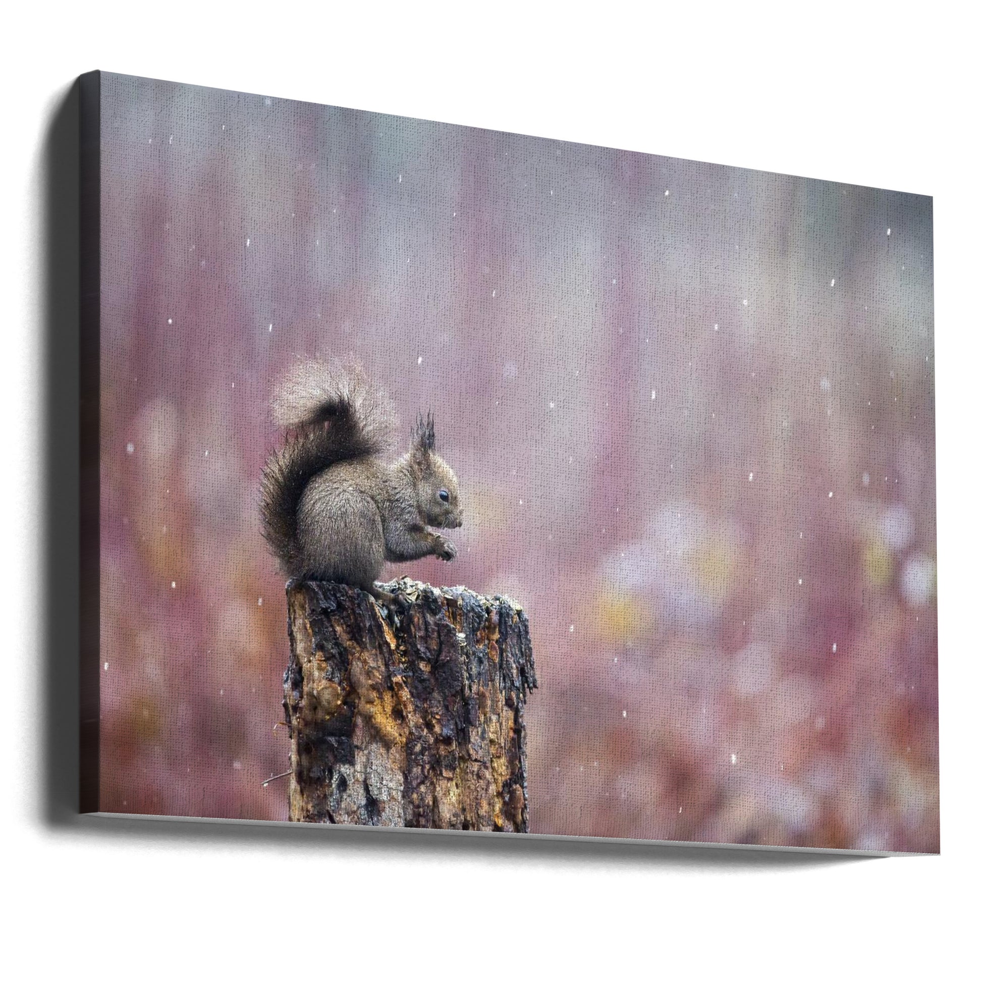 Purple Rain Squirrel by Marco Redaelli | Cute Winter Animal, Large Canvas Wall Art Print | Artsy Earth