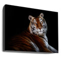 Dark Tiger Serenity by Santiago Pascual Buye | Low Key Feline, Large Canvas Wall Art Print | Artsy Earth