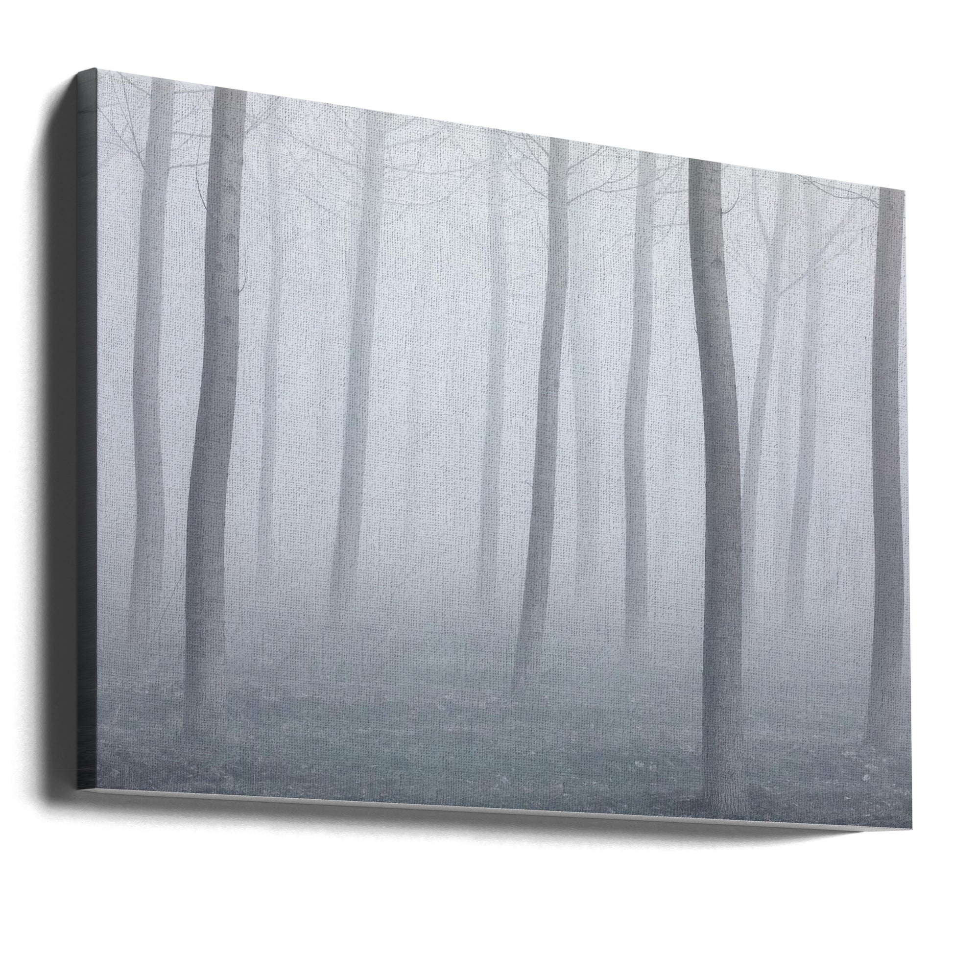 Foggy Forest Walk by Fiorenzo Carozzi | Foggy Forest Landscape, Large Canvas Wall Art Print | Artsy Earth