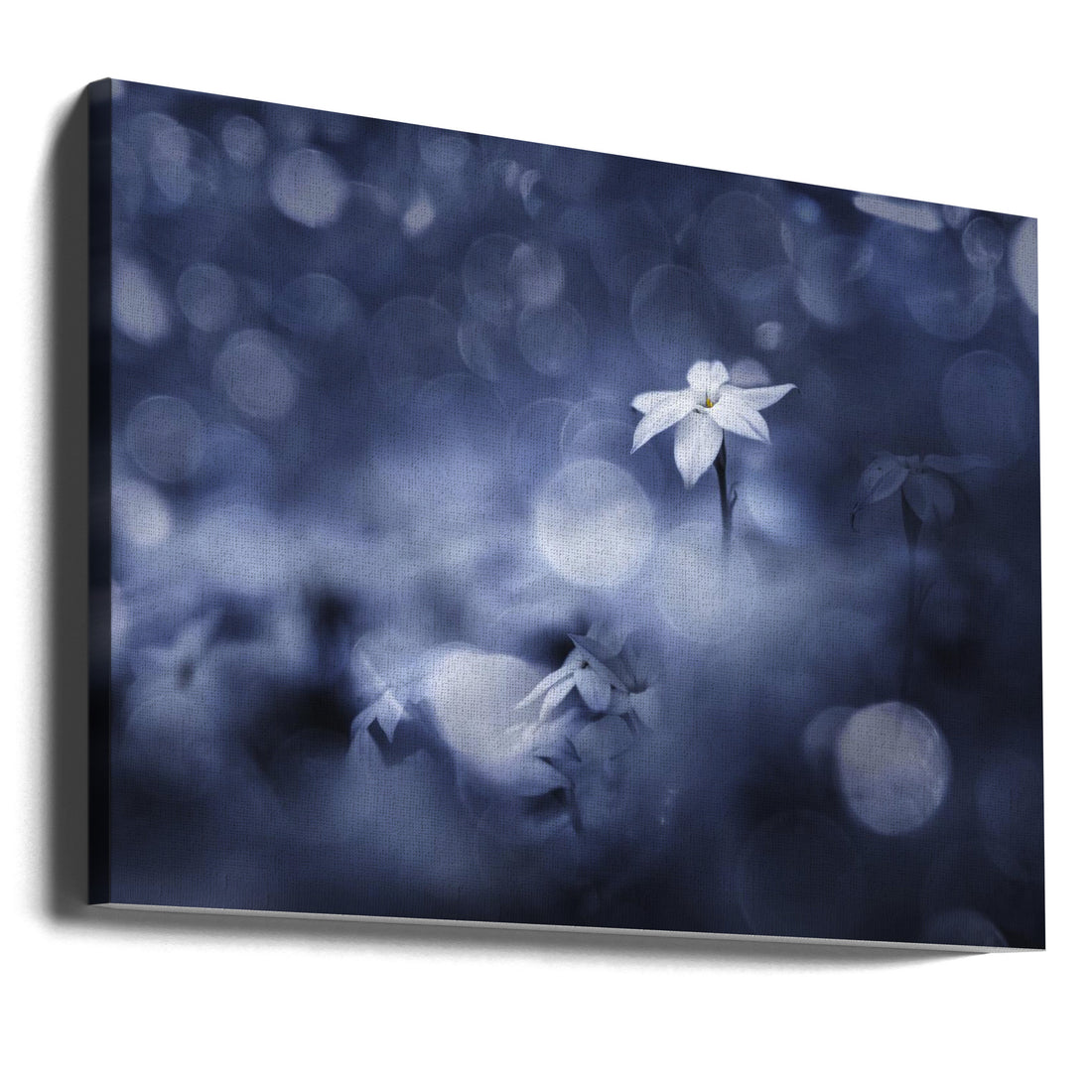 Sparkling Blue Flora by Takashi Suzuki | Peaceful Floral Meditation, Large Canvas Wall Art Print | Artsy Earth