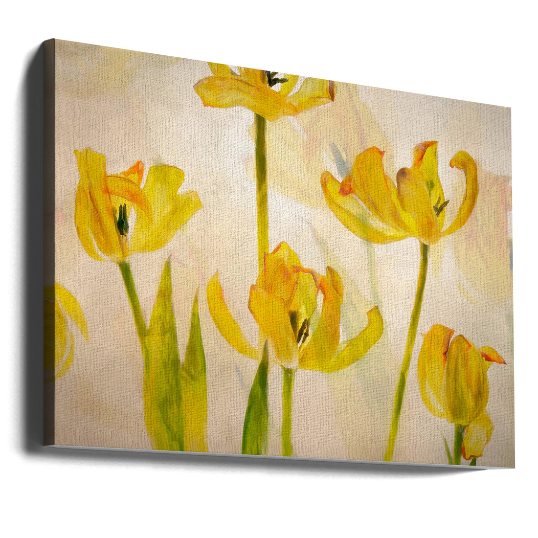 Flowering Tulips by Nel Talen | Colorful Spring Flowers, Large Canvas Wall Art Print | Artsy Earth