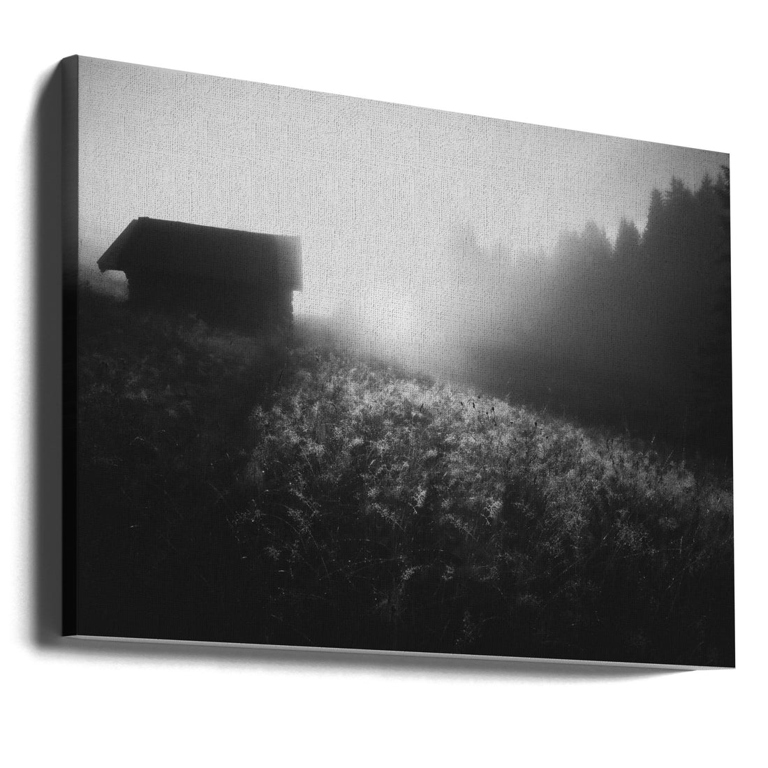 Misty Morning Farm by Roswitha Schleicher-schwarz | Rural Foggy Landscape, Large Canvas Wall Art Print | Artsy Earth