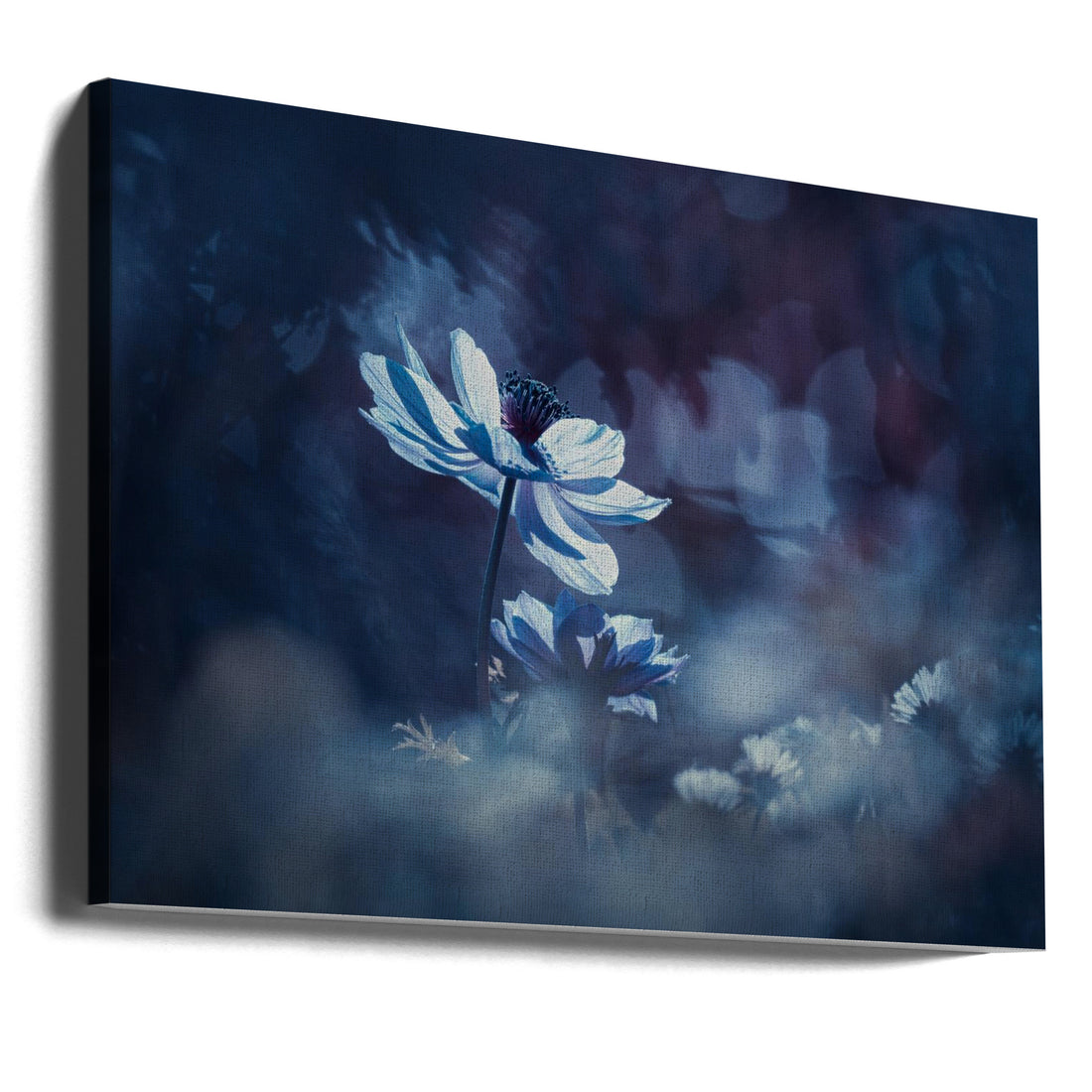 Blue Floral Meadow by Fabien Bravin | Backlit Flora Macro, Large Canvas Wall Art Print | Artsy Earth