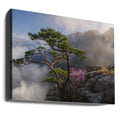 Dream Dancer by Jaeyoun Ryu | Misty Mountain Vista, Large Canvas Wall Art Print | Artsy Earth