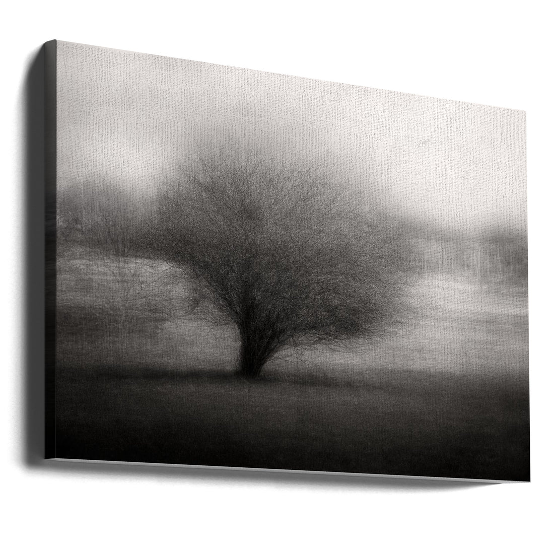 On the meadow by Katarina Holmström | Lonely Tree Impression, Large Canvas Wall Art Print | Artsy Earth