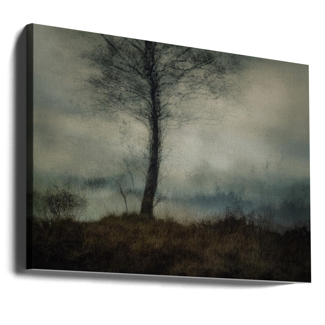 Silent Trees by Nel Talen | Dark Abstract Landscape, Large Canvas Wall Art Print | Artsy Earth