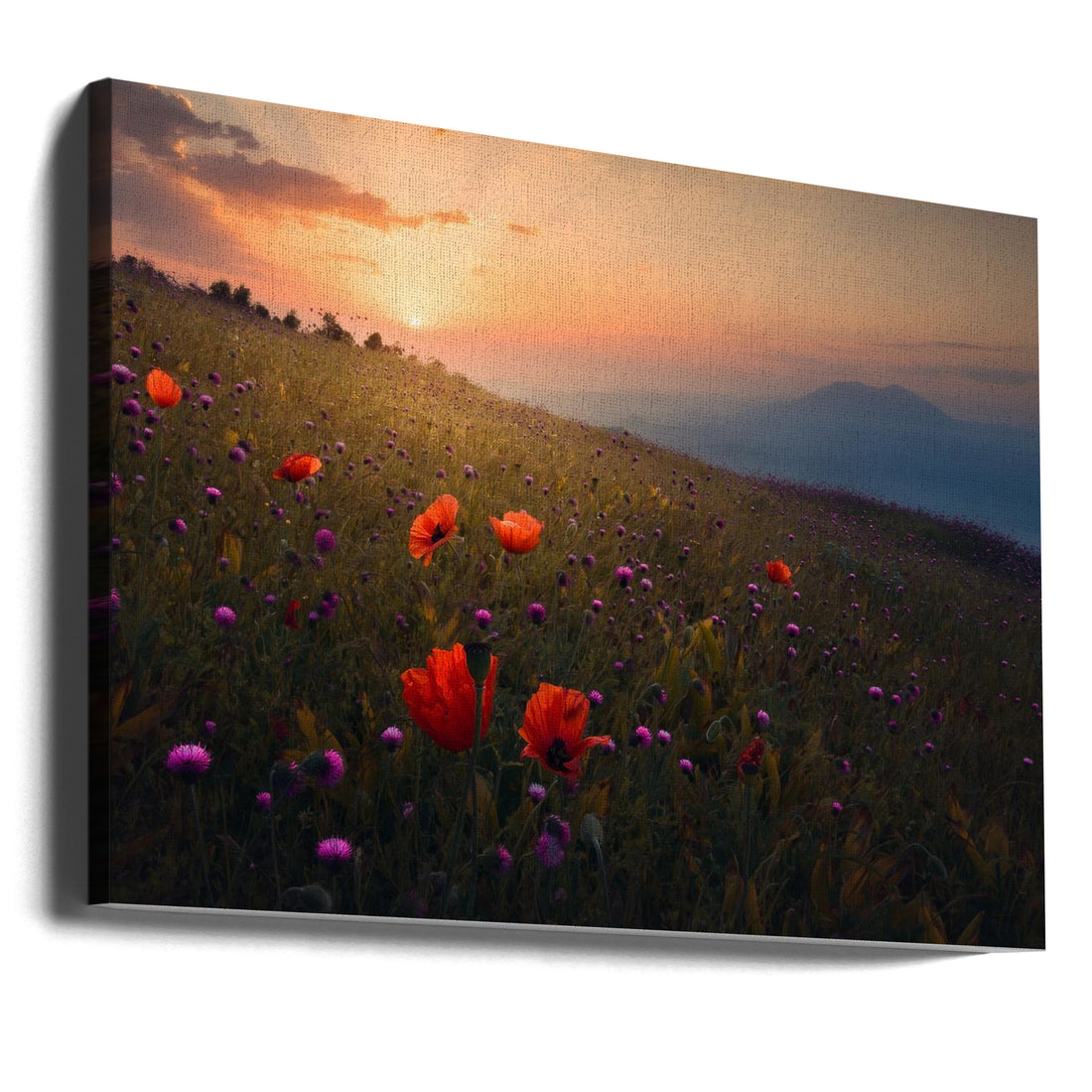 Rudbar Heights in Spring by Majid Behzad | Mountain Wildflower Landscape, Large Canvas Wall Art Print | Artsy Earth