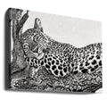 Time to rest by Xavier Ortega | African Wildlife Safari, Large Canvas Wall Art Print | Artsy Earth