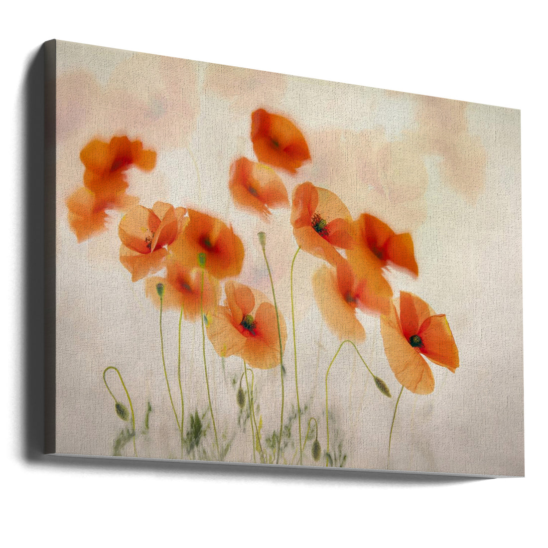 Waving in the wind by Nel Talen | Red Poppy Watercolor, Large Canvas Wall Art Print | Artsy Earth