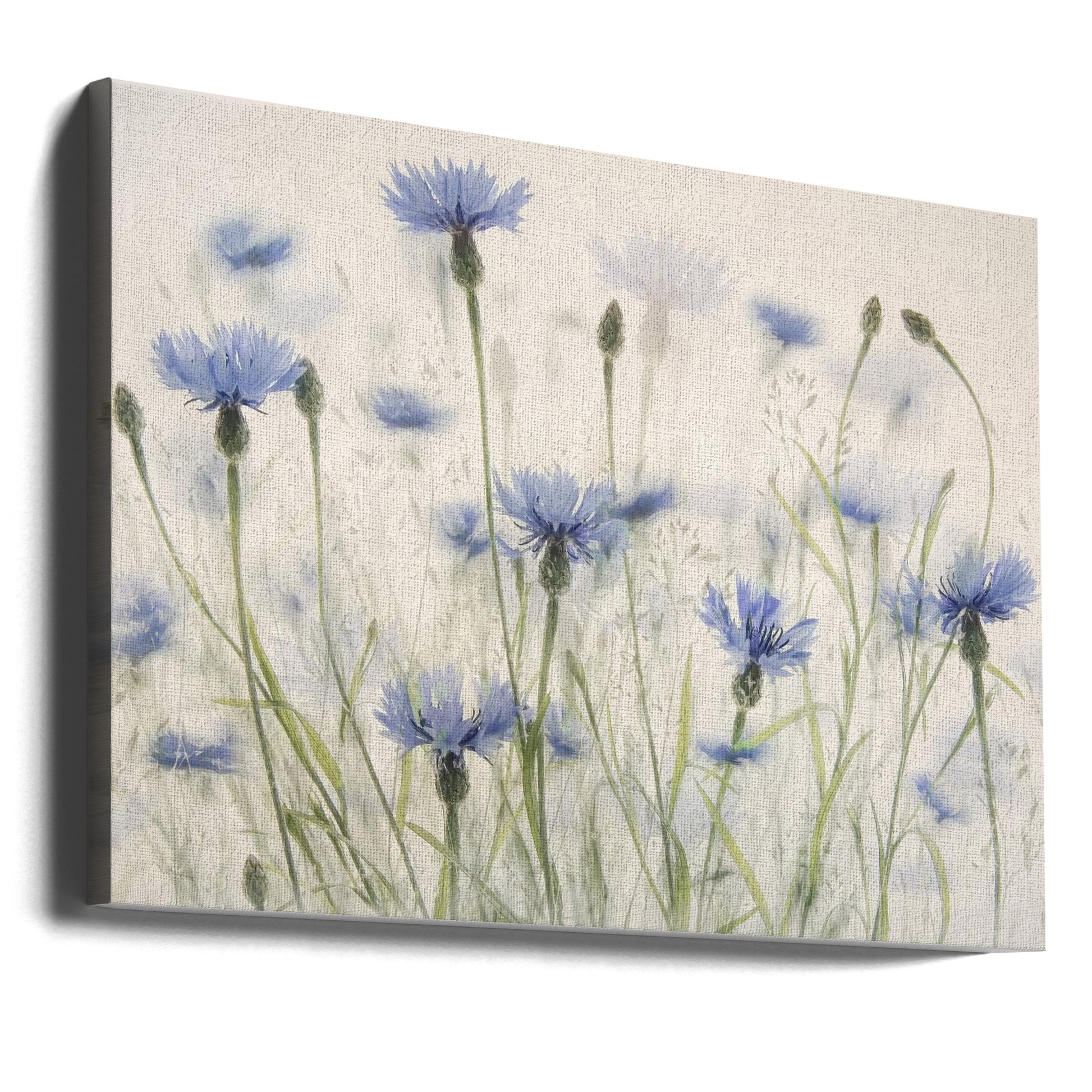 Cornflowers by Nel Talen | Blue Floral Botanical, Large Canvas Wall Art Print | Artsy Earth