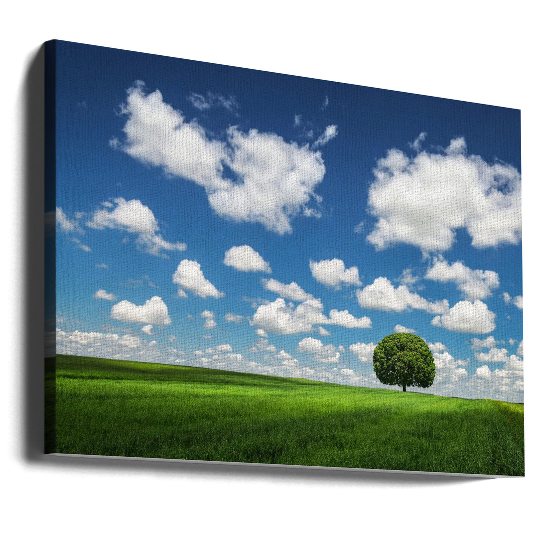 Lonely Tree by Bess Hamiti | Rural Landscape Field, Large Canvas Wall Art Print | Artsy Earth