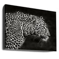 Leopard Close Up by Xavier Ortega | African Wildlife Safari, Large Canvas Wall Art Print | Artsy Earth