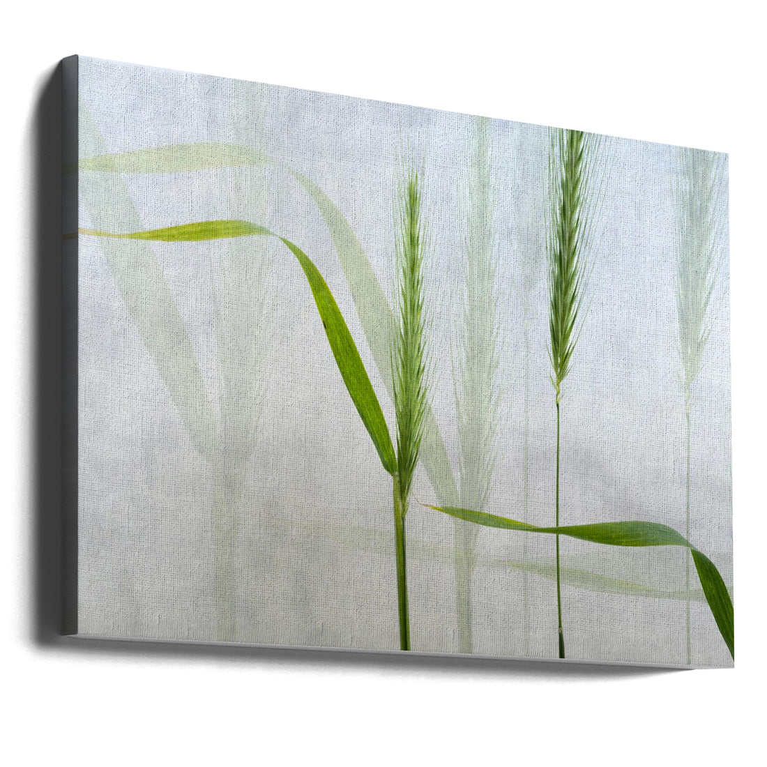 Wavy Green by Greetje Van Son | Pastoral Botanical Texture, Large Canvas Wall Art Print | Artsy Earth