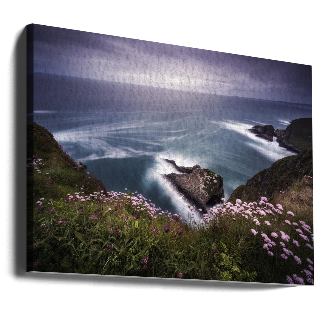 On the edge of the cliff by Jorge Ruiz Dueso | Coastal Cliff Wildflowers, Large Canvas Wall Art Print | Artsy Earth