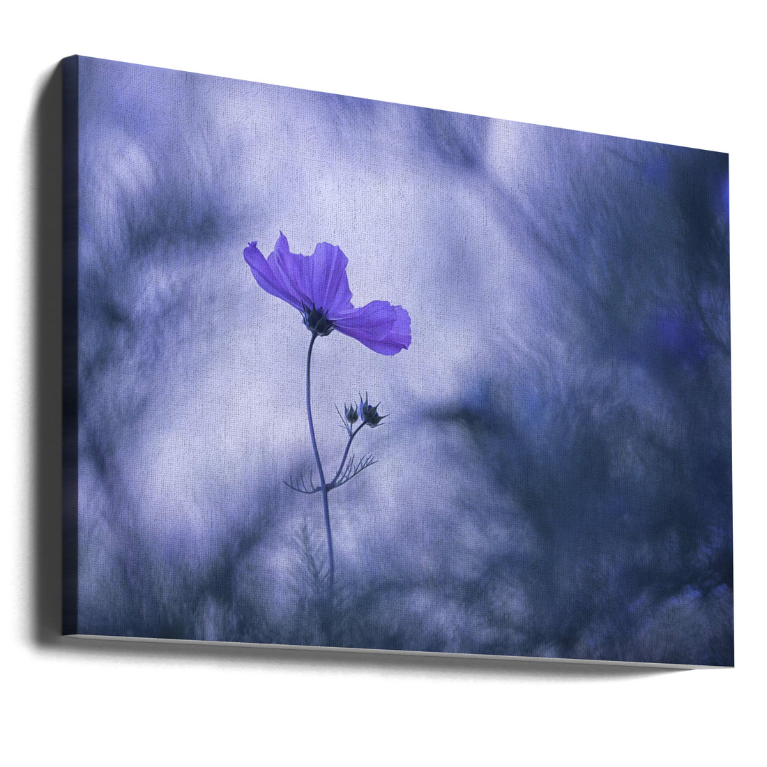 Blue dream by Benjamine Hullot Scalvenzi | Blue Floral Macro, Large Canvas Wall Art Print | Artsy Earth