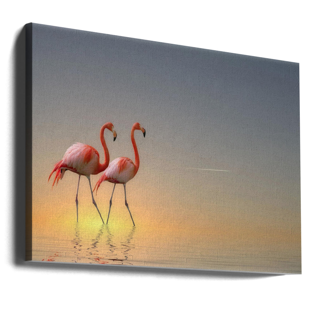 Serenity II by Anna Cseresnjes | Romantic Flamingo Couple, Large Canvas Wall Art Print | Artsy Earth