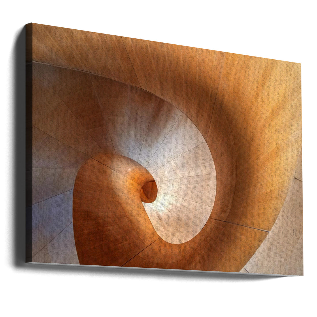 Spiral Staircase by Louie Luo | Geometric Architecture Twist, Large Canvas Wall Art Print | Artsy Earth