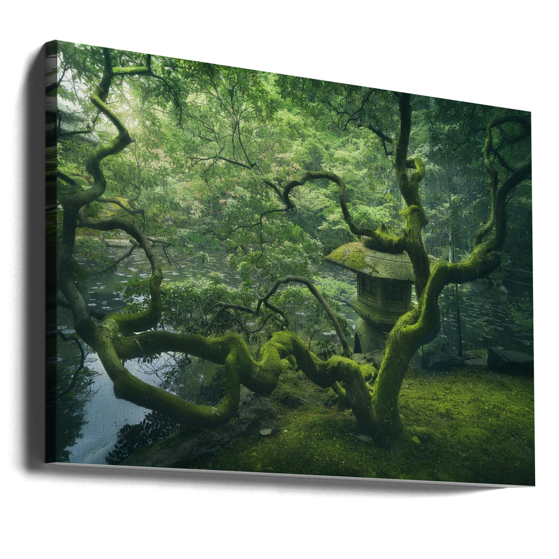 Japanese Tree by Javier De La Torre | Zen Garden Landscape, Large Canvas Wall Art Print | Artsy Earth