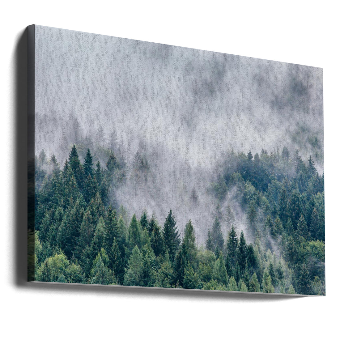 Misty Forest Dawn by Angyalosi Beáta | Foggy Pine Forest, Large Canvas Wall Art Print | Artsy Earth