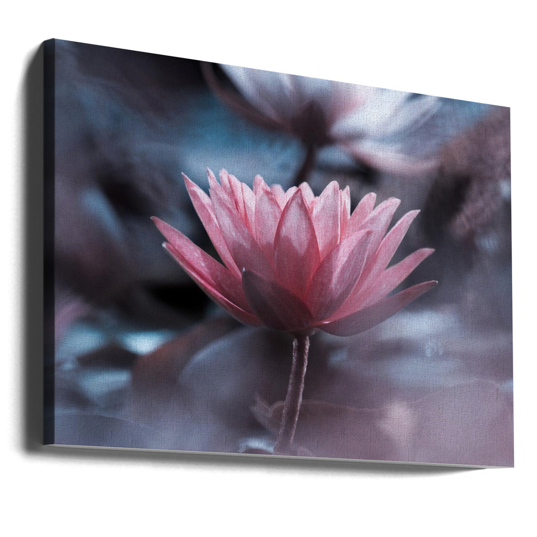 Peaceful Silence by Fabien Bravin | Floral Zen Mindfulness, Large Canvas Wall Art Print | Artsy Earth