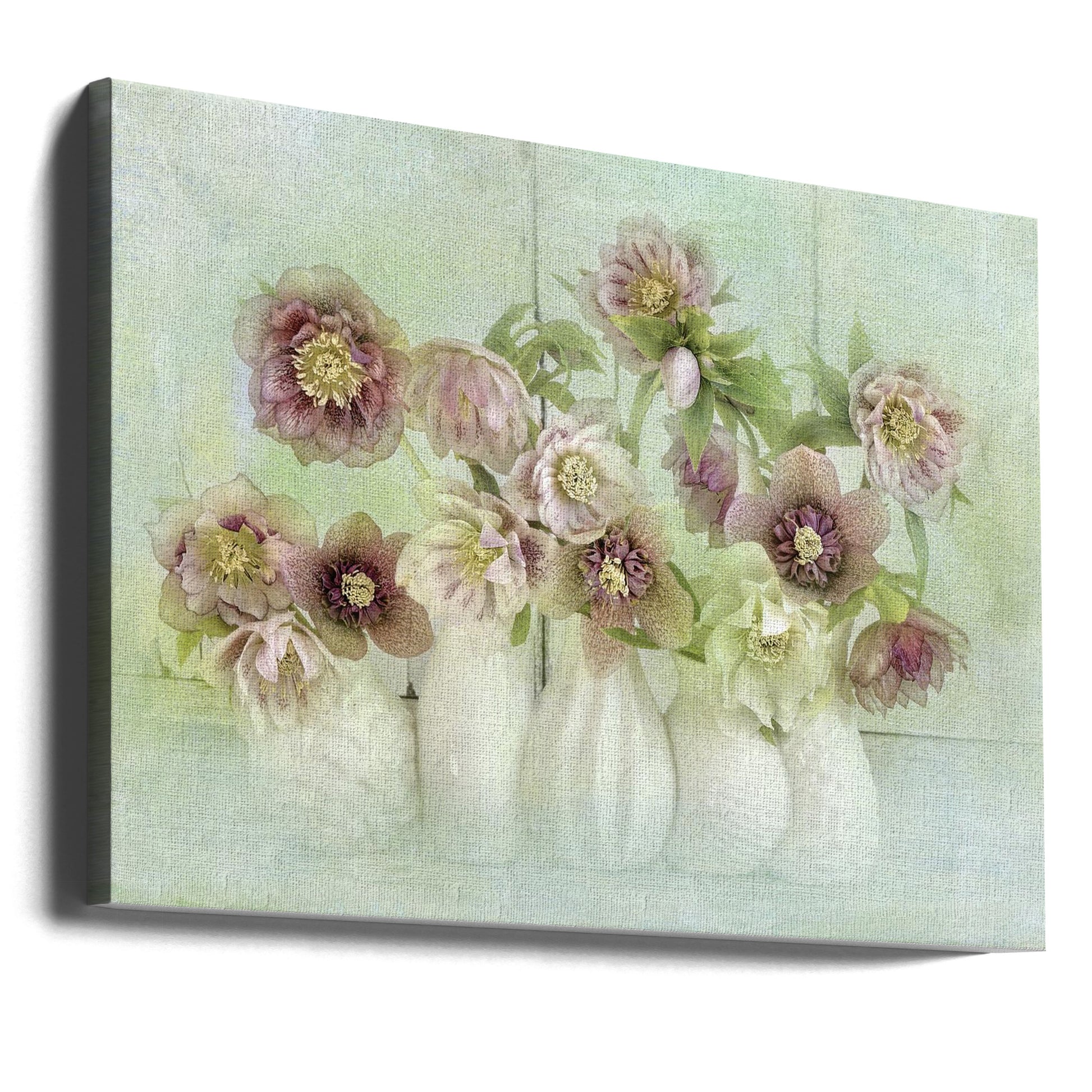 Spring Lenten Roses by Jacky Parker | Vintage Floral Botanical, Large Canvas Wall Art Print | Artsy Earth