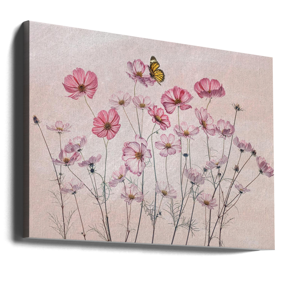 Cosmos and Butterfly by Lydia Jacobs | Floral Botanical Pastel, Large Canvas Wall Art Print | Artsy Earth