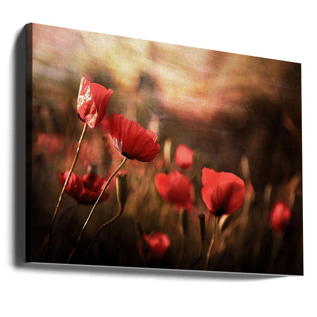 Morning Air by Sahar Karami | Summer Floral Romance, Large Canvas Wall Art Print | Artsy Earth