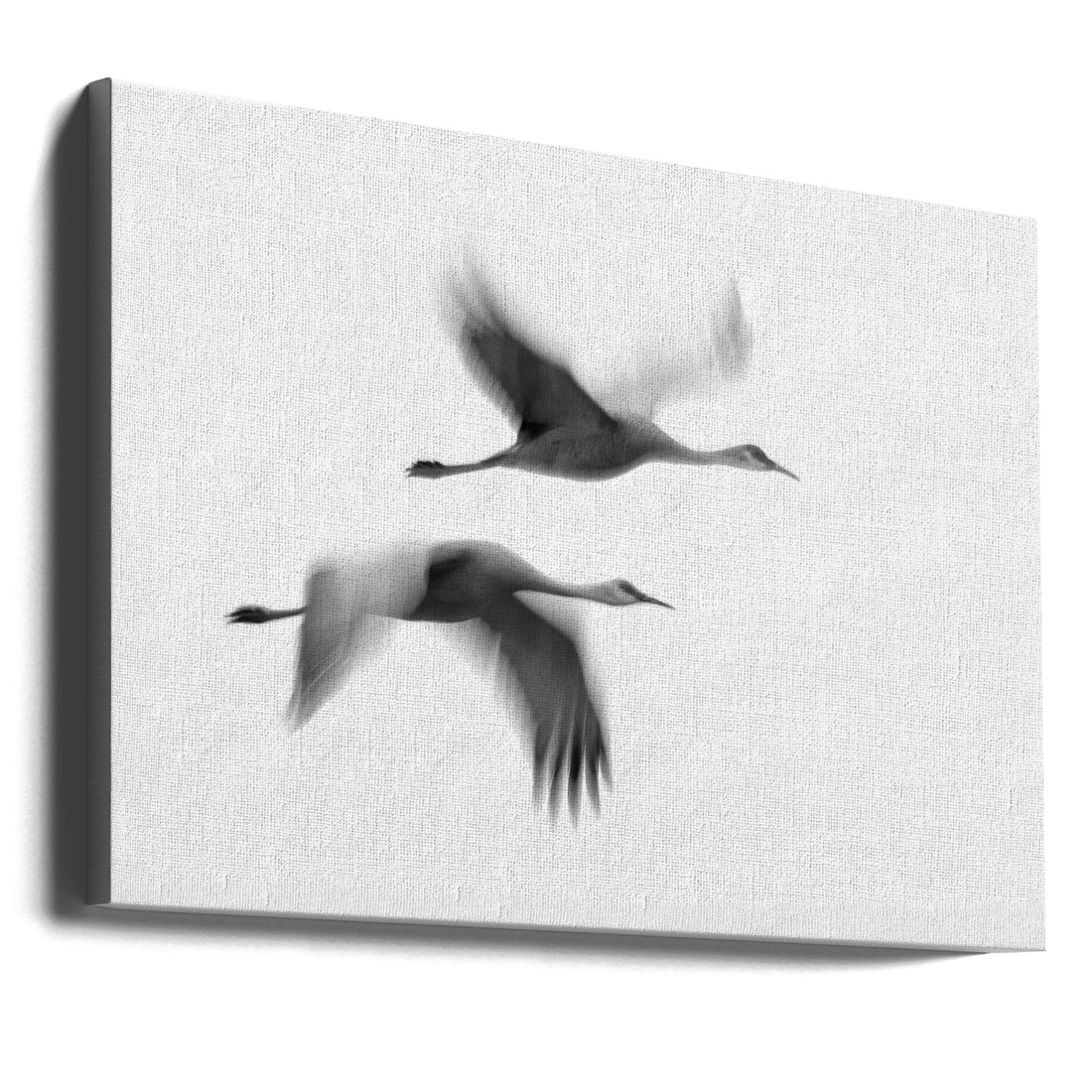 Dream Couple by John Fan | Flying Crane Pair, Large Canvas Wall Art Print | Artsy Earth