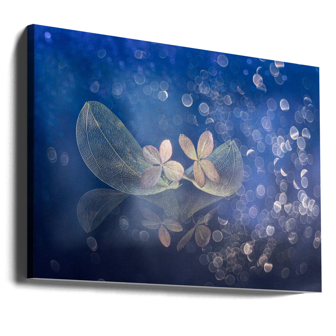 Fairytale Fantasy by Igor Kopcev | Floral Macro Abstract, Large Canvas Wall Art Print | Artsy Earth