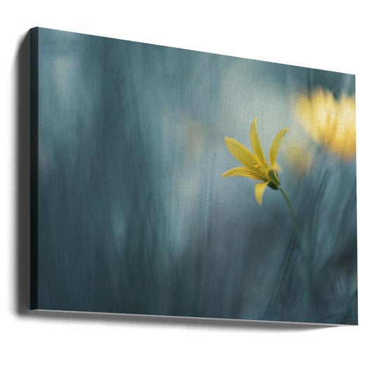 Spring Vaudeville by Igor Kopcev | Spring Floral Macro, Large Canvas Wall Art Print | Artsy Earth