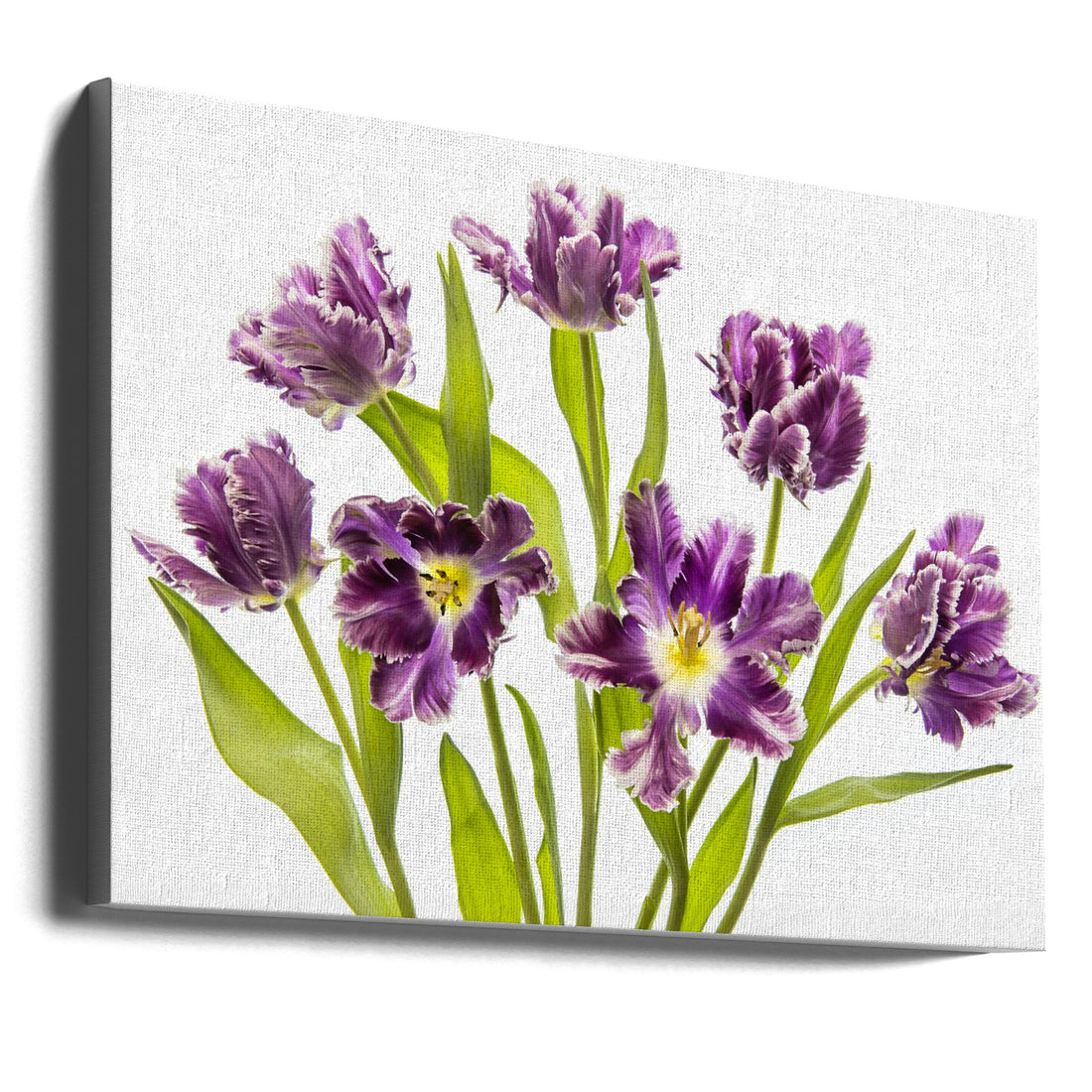 Vibrant Spring by Jacky Parker | Spring Floral Bloom, Large Canvas Wall Art Print | Artsy Earth