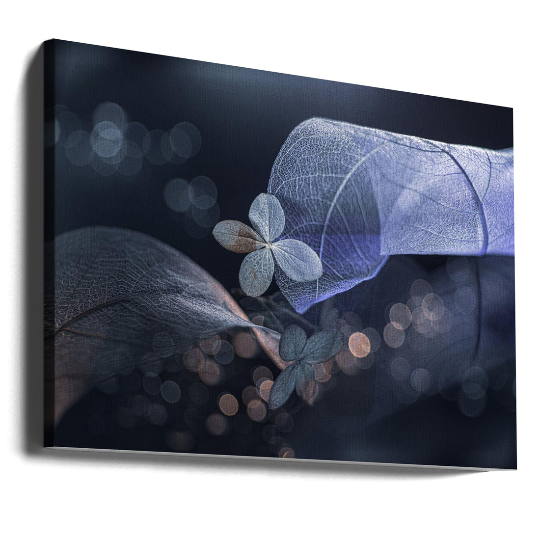 Winter Fantasy by Igor Kopcev | Delicate Botanical Abstract, Large Canvas Wall Art Print | Artsy Earth