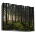 A sense of spring by Benny Pettersson | Misty Forest Landscape, Large Canvas Wall Art Print | Artsy Earth