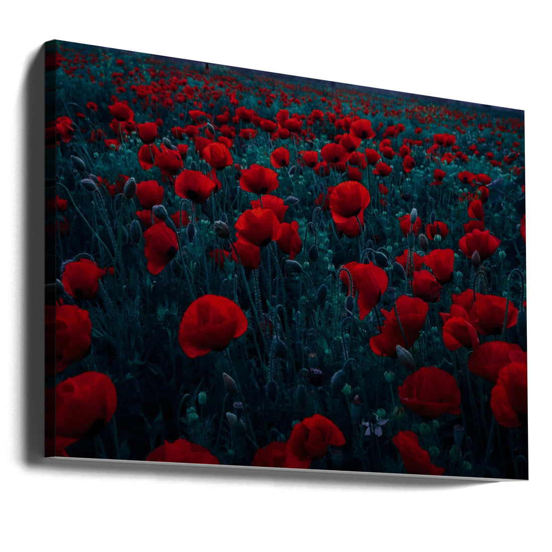 Symphony of Flowers by Farid Kazamil | Colorful Floral Landscape, Large Canvas Wall Art Print | Artsy Earth