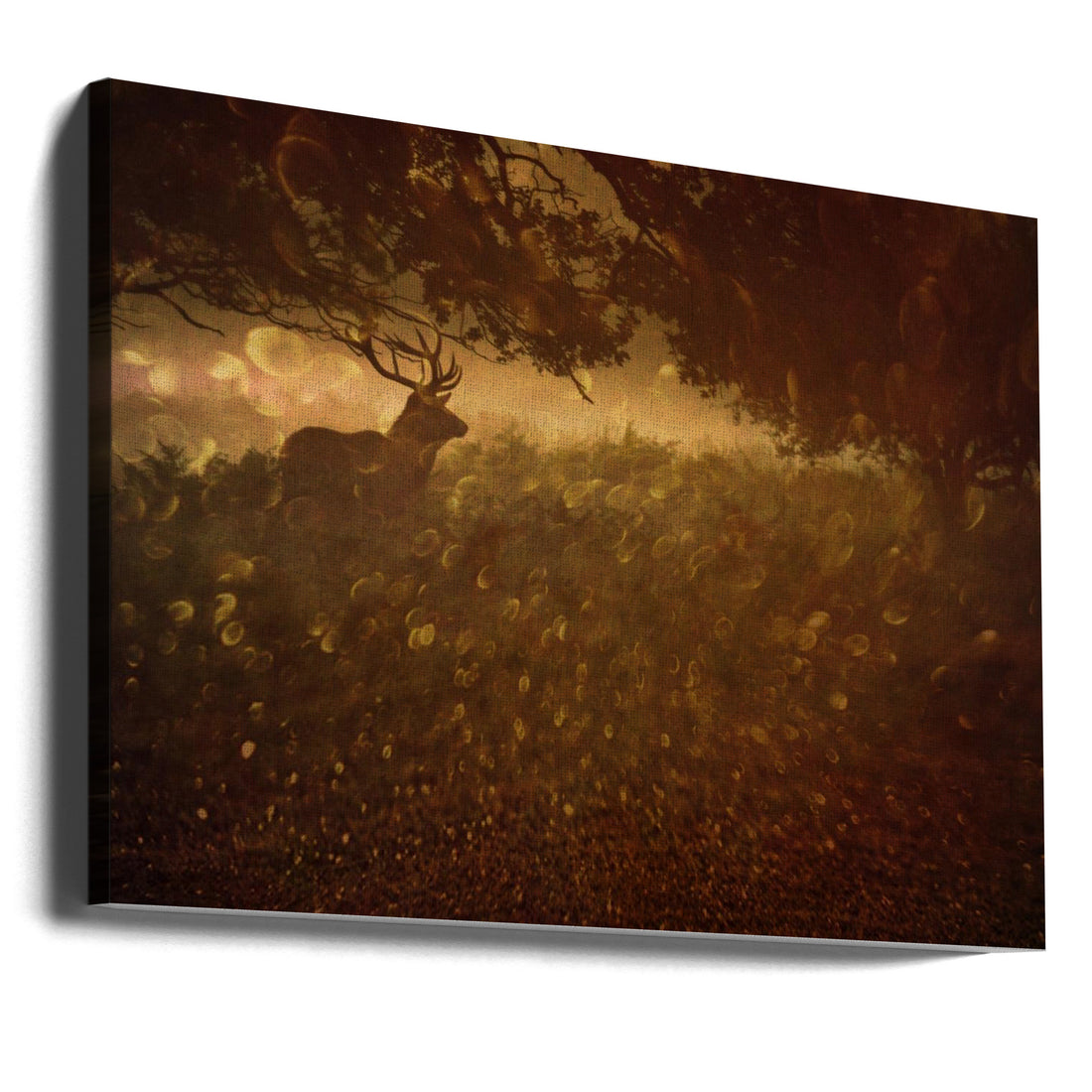 Golden Woods by Robert Fabrowski | Deer Antler Nature, Large Canvas Wall Art Print | Artsy Earth