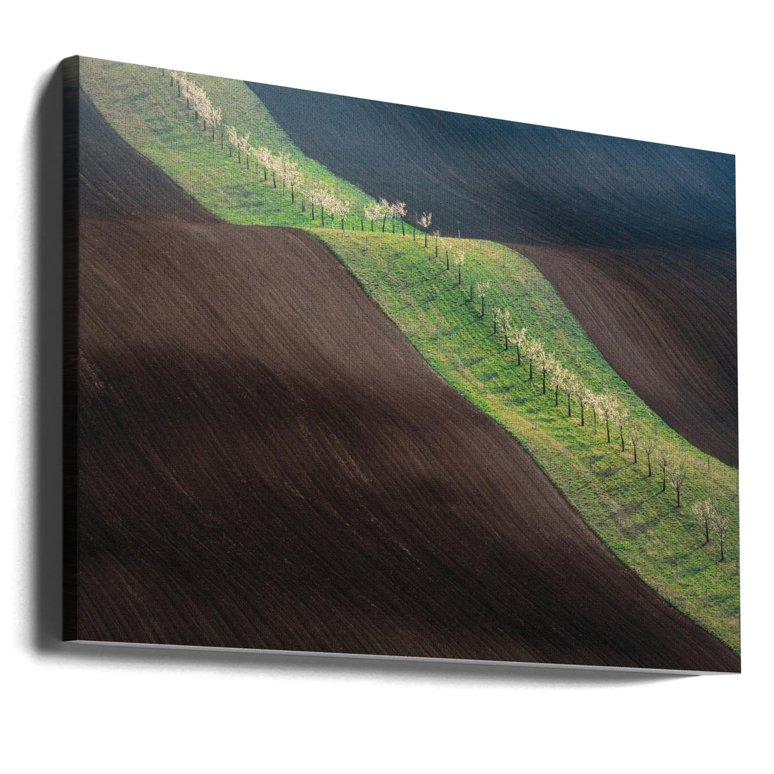 From Left To Right by Petr Kovar | Rural Rolling Hills, Large Canvas Wall Art Print | Artsy Earth