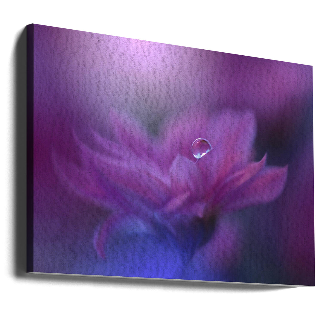 Without Form, Without Limit by Juliana Nan | Floral Macro Droplets, Large Canvas Wall Art Print | Artsy Earth