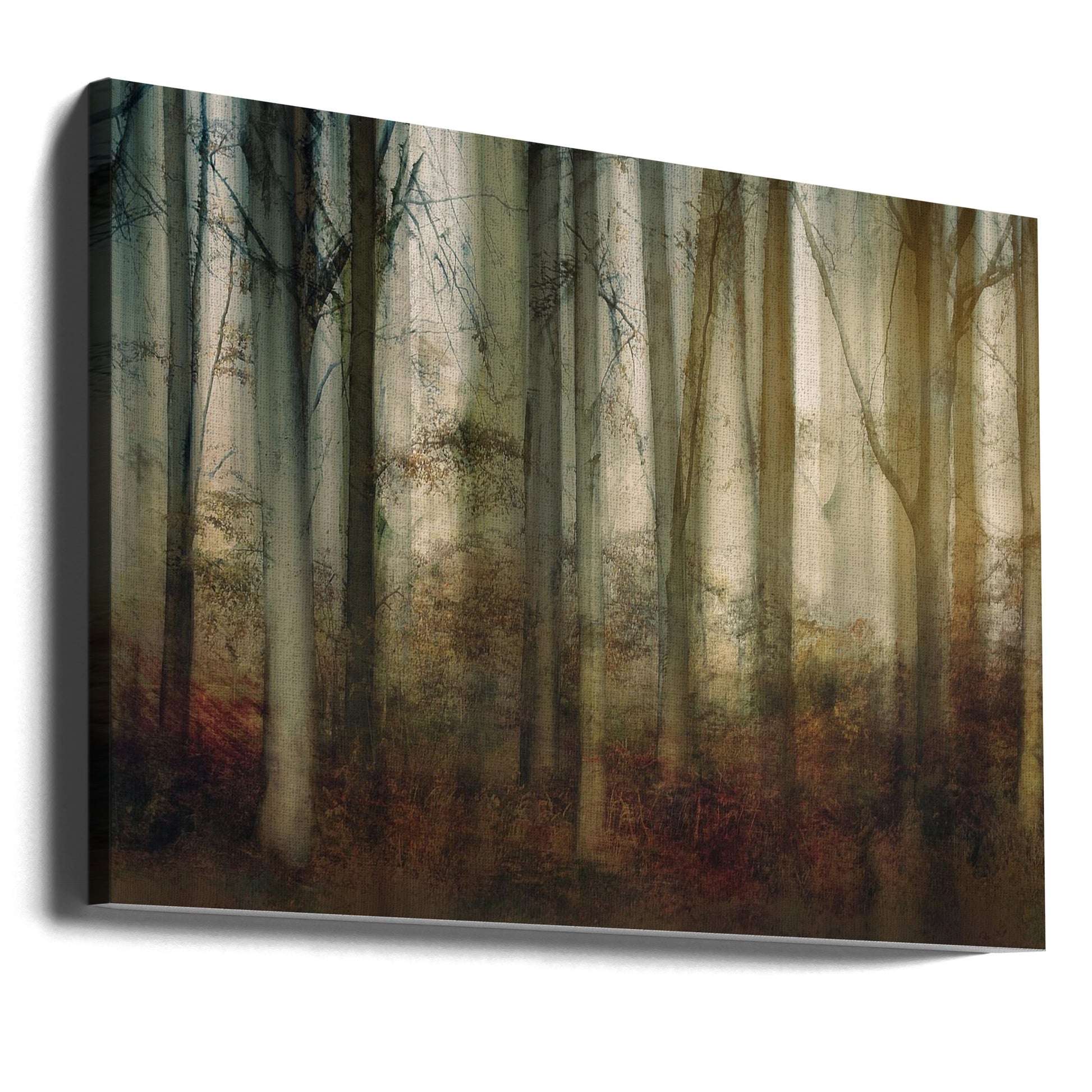 Autumn Light by Nel Talen | Forest Double Exposure, Large Canvas Wall Art Print | Artsy Earth