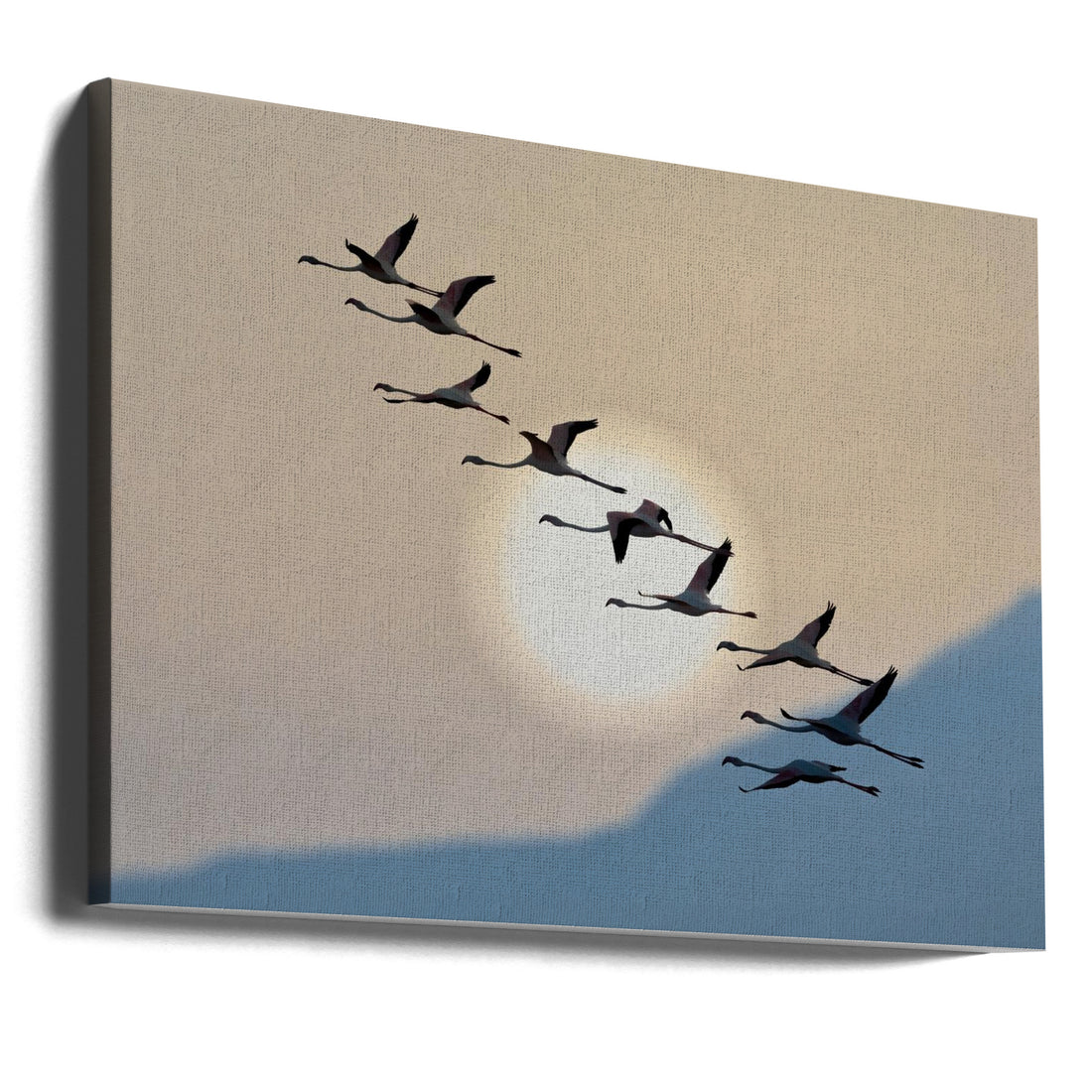 Flamingos at sunrise by Eyal Bar Or | Wild Birds Flying, Large Canvas Wall Art Print | Artsy Earth