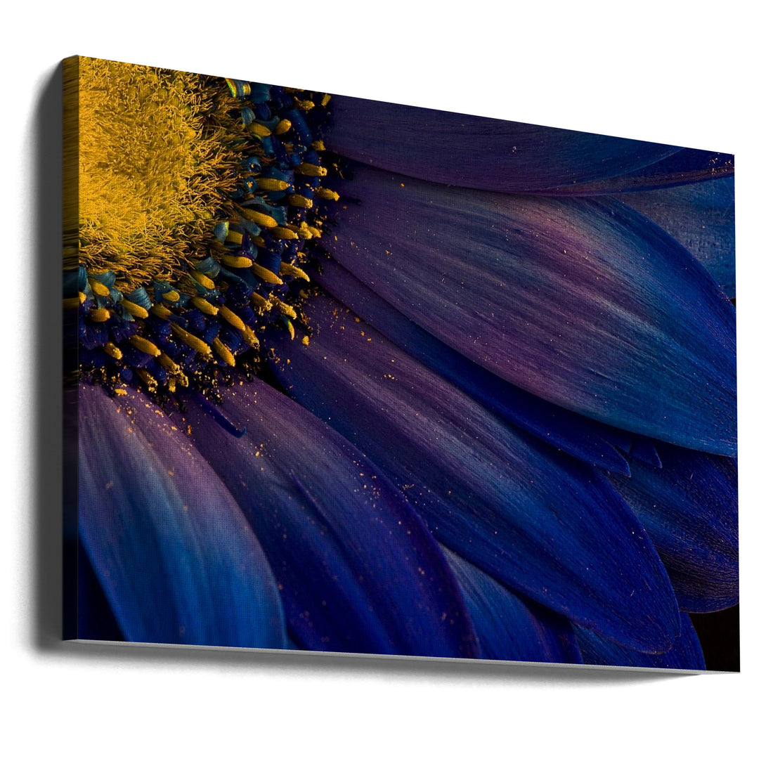 Blue Floral Macro by Þorsteinn H. Ingibergsson | Botanical Flora Close-up, Large Canvas Wall Art Print | Artsy Earth