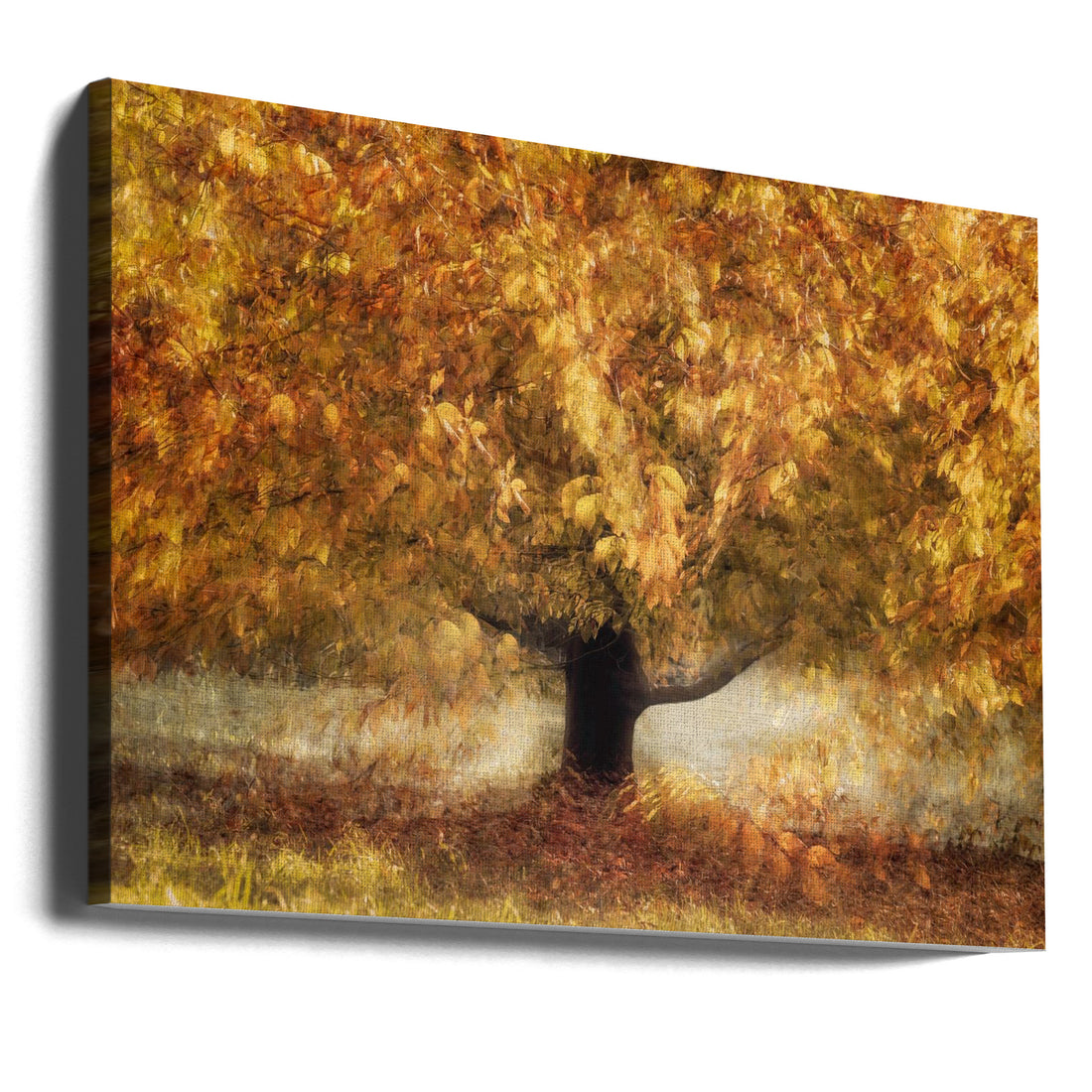 Gold Colors by Nel Talen | Autumn Nature Tranquility, Large Canvas Wall Art Print | Artsy Earth