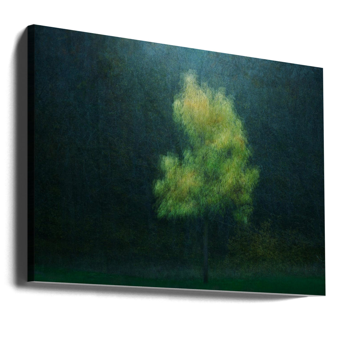 Autumn Forest Mist by Katarina Holmström | Lonely Tree Landscape, Large Canvas Wall Art Print | Artsy Earth