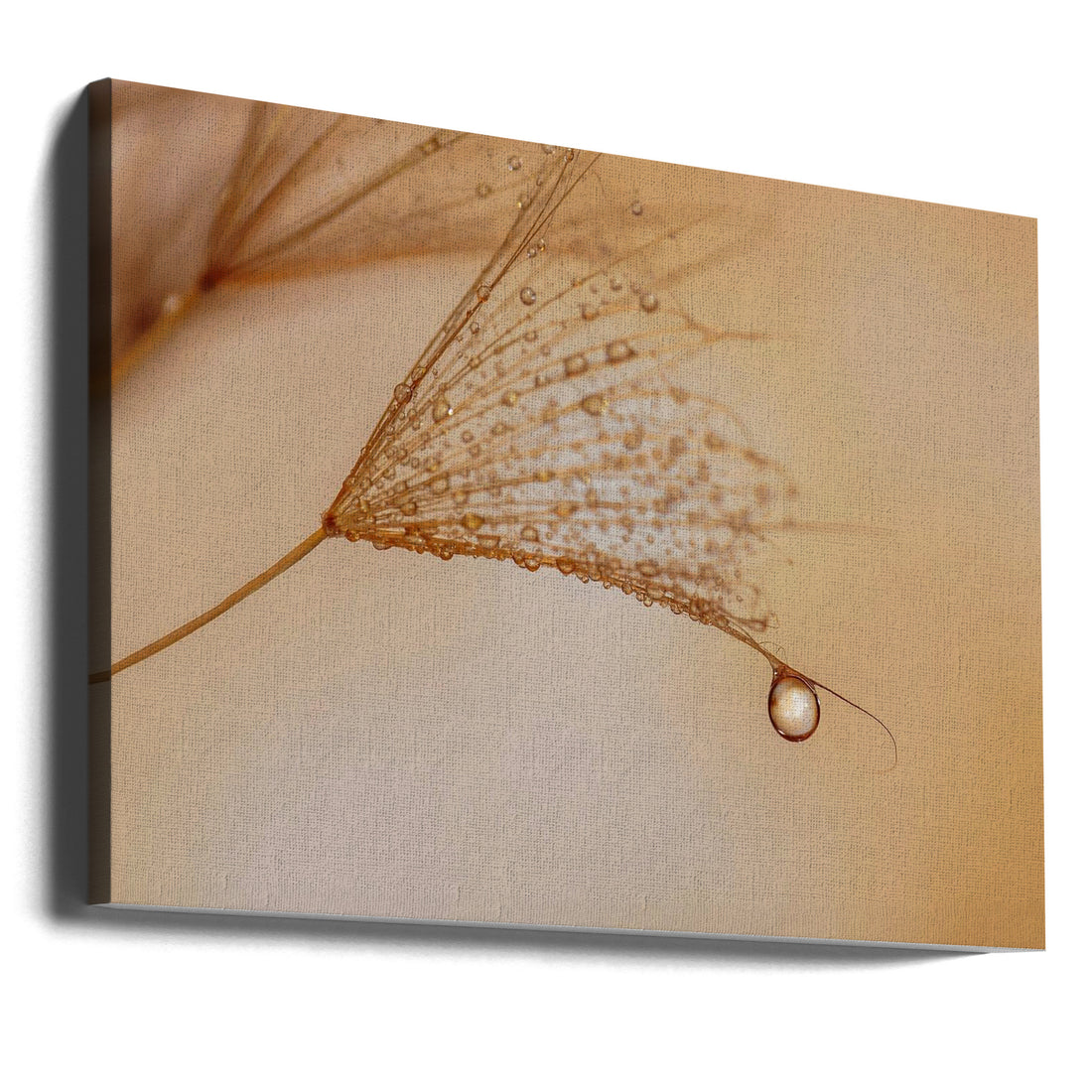 Golden Droplets by Lara Bonazza | Macro Water Drops, Large Canvas Wall Art Print | Artsy Earth