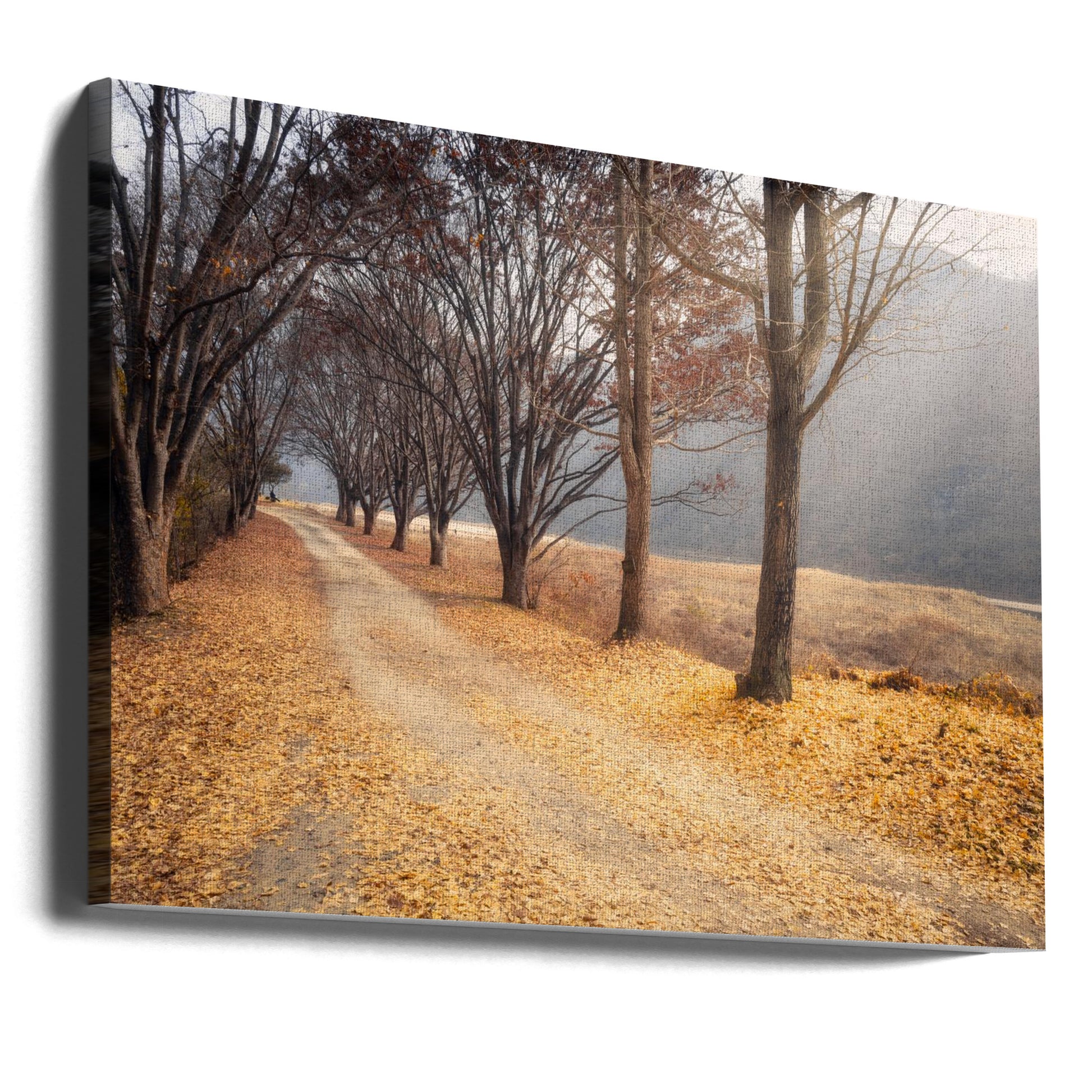 In the middle of autumn by Hongsun Yoon | Forest Autumn Landscape, Large Canvas Wall Art Print | Artsy Earth