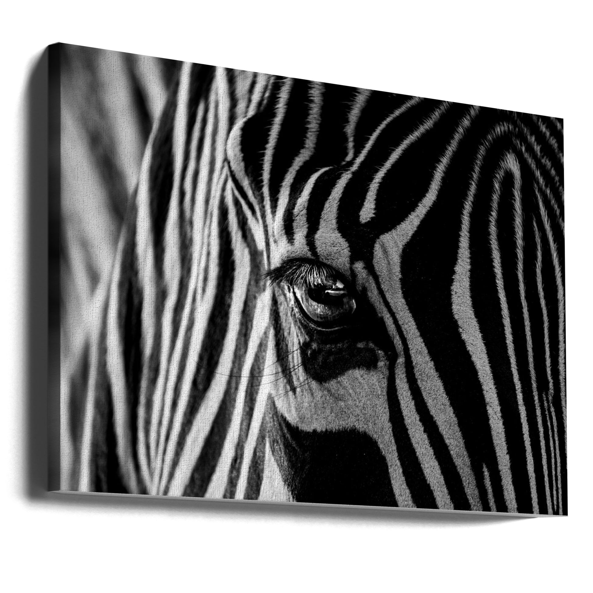 Abstract Zebra by Roy Darnell | Geometric Wildlife Pattern, Large Canvas Wall Art Print | Artsy Earth