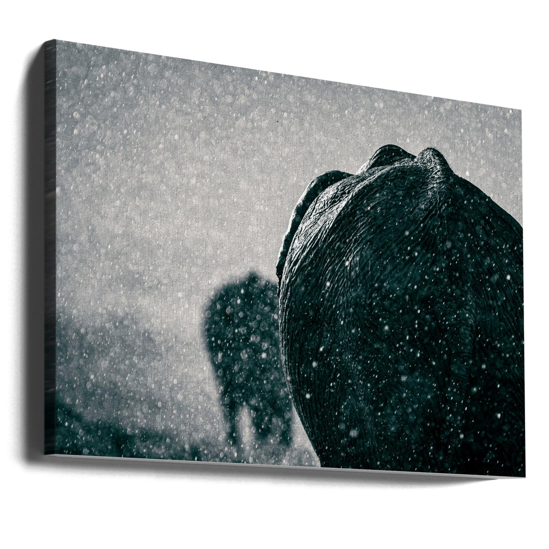 Rainy Season by Mike Taylor | Wild African Wildlife, Large Canvas Wall Art Print | Artsy Earth